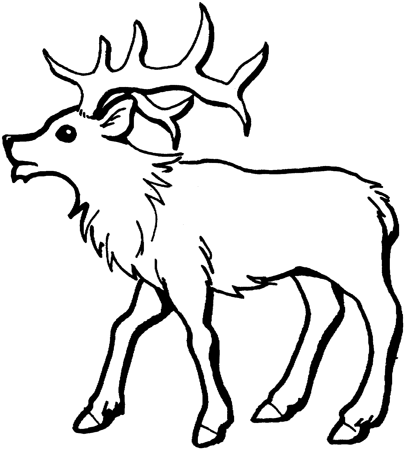 wapiti coloring pages - photo #1