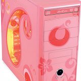 20101125145833_pink_computer_case