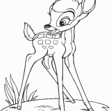 bambi-kolorowanki (4)