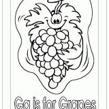 bg-grapes