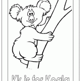 bk-koala