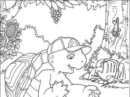 Kolorowanki Franklin