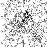 spiderman- kkolorowanki (95)