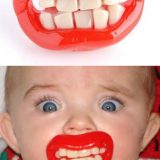 a96938_a581_1-chomp