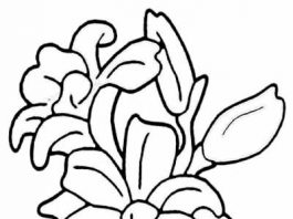 Kolorowanki kwiaty , malowanki do druku