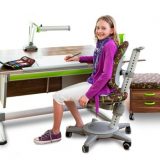 moll_desks