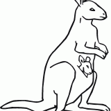 kangoroo-6-coloring-page