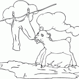 sheep-takes-cloth-coloring-page