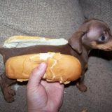 hot-dog-dla-dzieci (5)