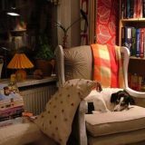 2011-Minimalist-Elegant-Exellent-Reading-Nooks-Design-Deluxe-Masculine-Reading-Nooks