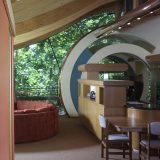 curved-roof-rooms-design-tree-house