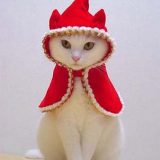 świateczne-zwierzeta (1)