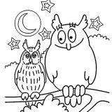 owls-9631