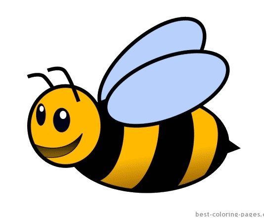 Pszczółki i insekty – kolorowanki do wydrukowania