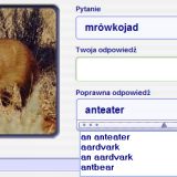 Aardvark