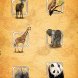 Some animals