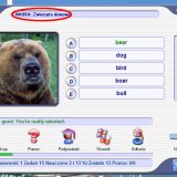 Bear, really…