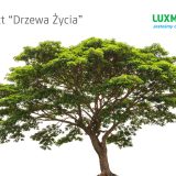 kampania-drzewo-zycia (2)