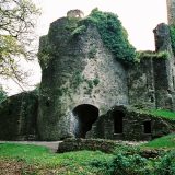 irlandia (4)