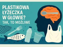 Ilustracja przedstawiająca plastikową łyżeczkę w mózgu człowieka jako metaforę mikroplastiku, z elementami odpadów plastikowych – butelką, siatką, rybą i sztućcami jednorazowymi.