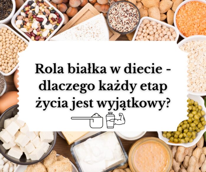 rola białka w diecie